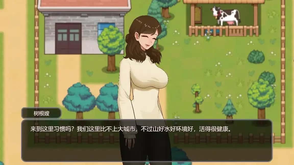 乡村狂想曲 攻略要点 画面 3